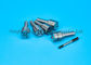 Common Rail Bosch Injector Parts Nozzle DLLA146P1339 0433171831 Toleransi Terkecil pemasok